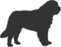 giant-dog-icon