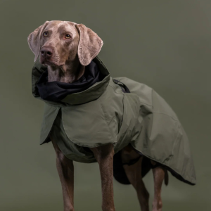 PAIKKA Visibility Winter Jacket Wool For Dogs | Green