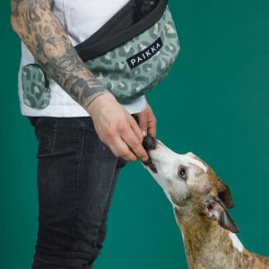 PAIKKA Visibility Treat Bag Green Leo