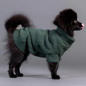 PAIKKA Furry Knit Sweater for Dogs - Green