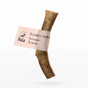 Pala Reindeer Antler