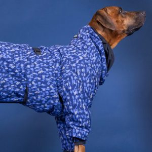 PAIKKA Winter Suit Blue