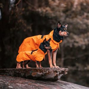 PAIKKA Recovery Raincoat Orange