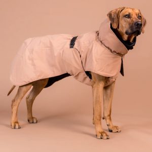PAIKKA Visibility Winter Jacket Wool For Dogs | Taupe
