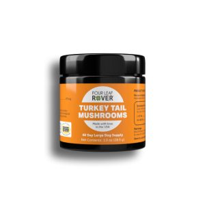 Turkey Tail - Organic Mushroom Extract For Dogs And Cats