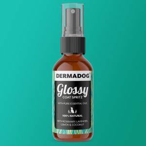 Glossy Coat Spritz