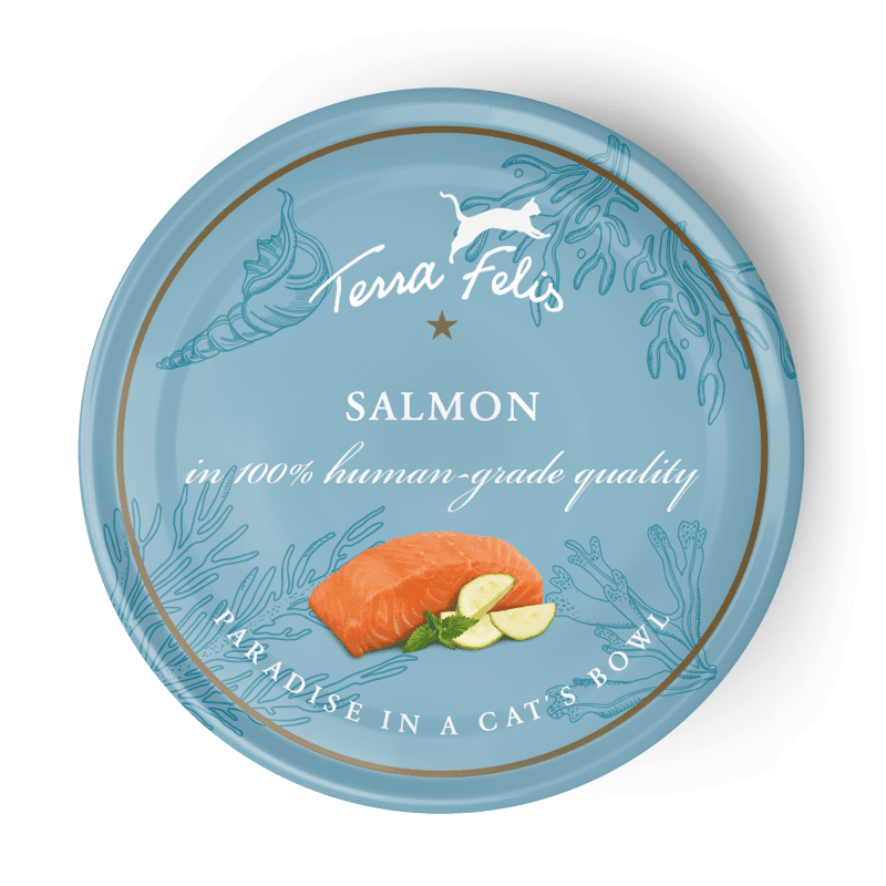 Salmon Menu