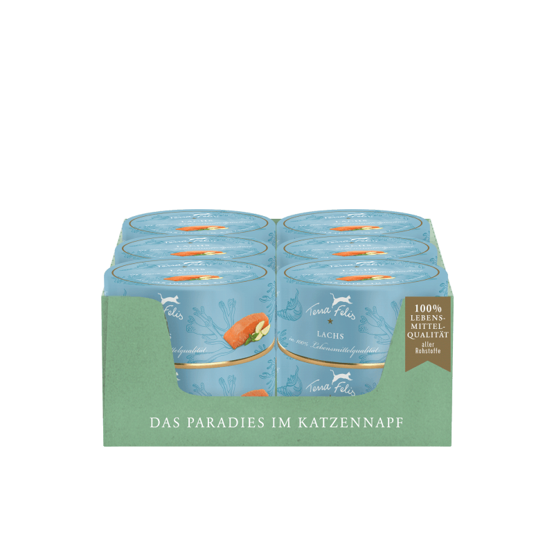 Salmon Menu - Image 4